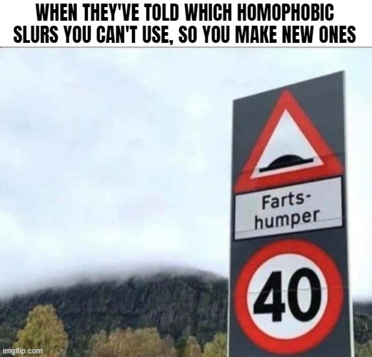 *gigglies* | WHEN THEY'VE TOLD WHICH HOMOPHOBIC SLURS YOU CAN'T USE, SO YOU MAKE NEW ONES | image tagged in funny,funny signs | made w/ Imgflip meme maker