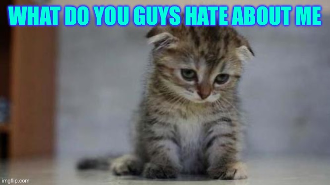 Sad kitten | WHAT DO YOU GUYS HATE ABOUT ME | image tagged in sad kitten | made w/ Imgflip meme maker