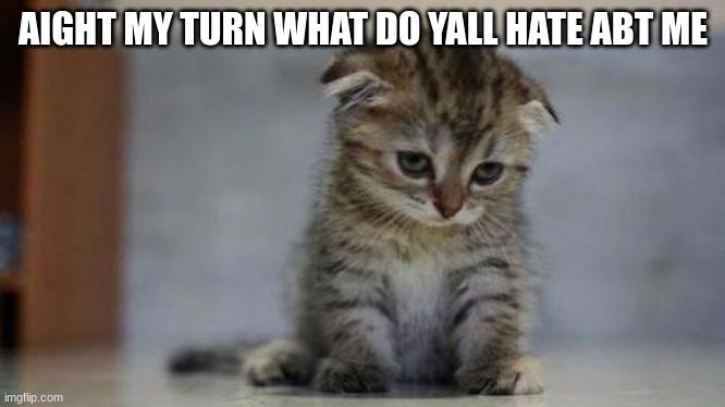 Sad kitten | AIGHT MY TURN WHAT DO YALL HATE ABT ME | image tagged in sad kitten | made w/ Imgflip meme maker
