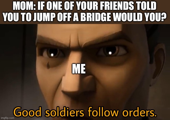She didn’t see that coming | MOM: IF ONE OF YOUR FRIENDS TOLD YOU TO JUMP OFF A BRIDGE WOULD YOU? ME | image tagged in good soldiers follow orders | made w/ Imgflip meme maker