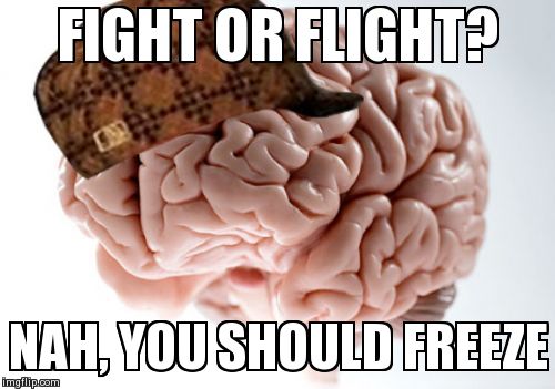 Scumbag Brain Meme | FIGHT OR FLIGHT? NAH, YOU SHOULD FREEZE | image tagged in memes,scumbag brain,AdviceAnimals | made w/ Imgflip meme maker