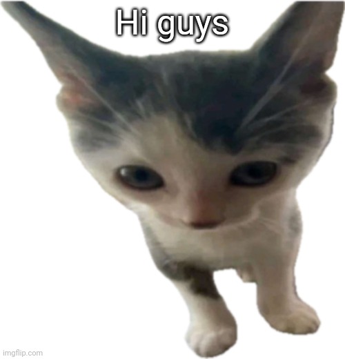 bartholomäus gilbert jr | Hi guys | image tagged in bartholom us gilbert jr | made w/ Imgflip meme maker