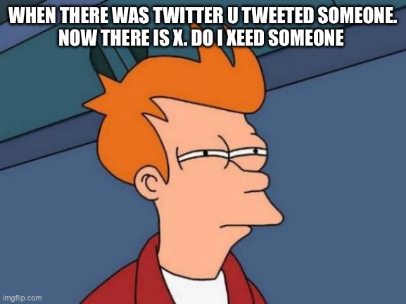 Pls help me | WHEN THERE WAS TWITTER U TWEETED SOMEONE.
NOW THERE IS X. DO I XEED SOMEONE | image tagged in memes,futurama fry | made w/ Imgflip meme maker