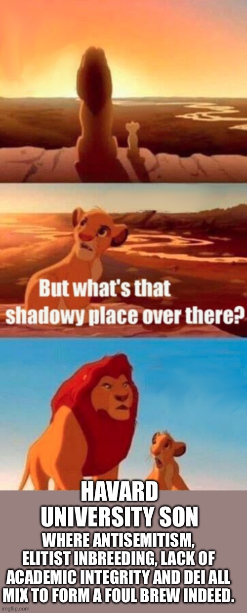 yep | HAVARD UNIVERSITY SON; WHERE ANTISEMITISM, ELITIST INBREEDING, LACK OF ACADEMIC INTEGRITY AND DEI ALL MIX TO FORM A FOUL BREW INDEED. | image tagged in memes,simba shadowy place | made w/ Imgflip meme maker