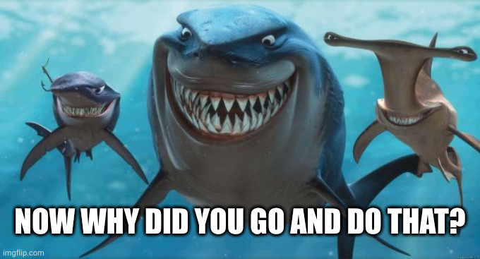 Finding Nemo Sharks | NOW WHY DID YOU GO AND DO THAT? | image tagged in finding nemo sharks | made w/ Imgflip meme maker