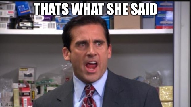 That's what she said the office Michael Scott | THATS WHAT SHE SAID | image tagged in that's what she said the office michael scott | made w/ Imgflip meme maker