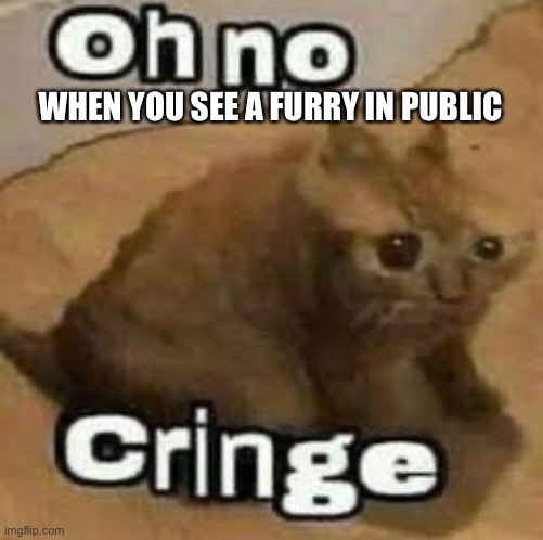 oH nO cRInGe | WHEN YOU SEE A FURRY IN PUBLIC | image tagged in oh no cringe | made w/ Imgflip meme maker