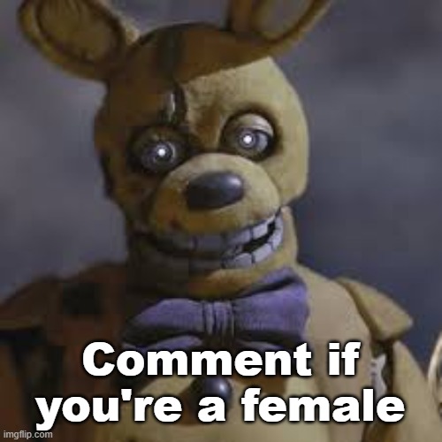 No LGBTQ trans people please | Comment if you're a female | image tagged in springbonnie | made w/ Imgflip meme maker