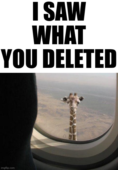 i saw what you deleted | image tagged in i saw what you deleted | made w/ Imgflip meme maker