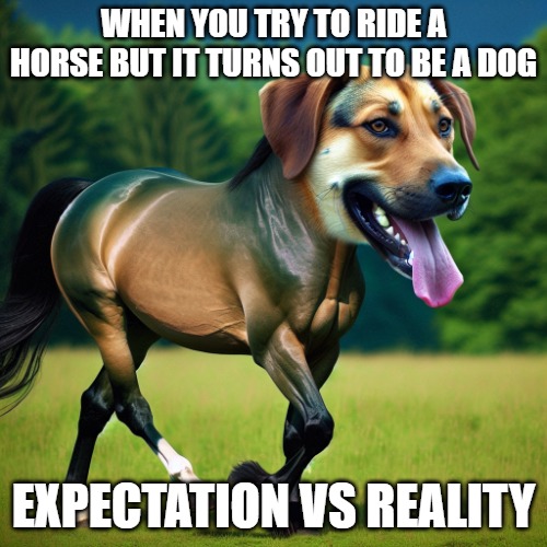 horse dog | WHEN YOU TRY TO RIDE A HORSE BUT IT TURNS OUT TO BE A DOG; EXPECTATION VS REALITY | image tagged in horse dog,photoshop,kewlew | made w/ Imgflip meme maker
