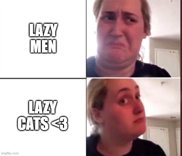 Kombucha Girl | LAZY MEN; LAZY CATS <3 | image tagged in kombucha girl | made w/ Imgflip meme maker