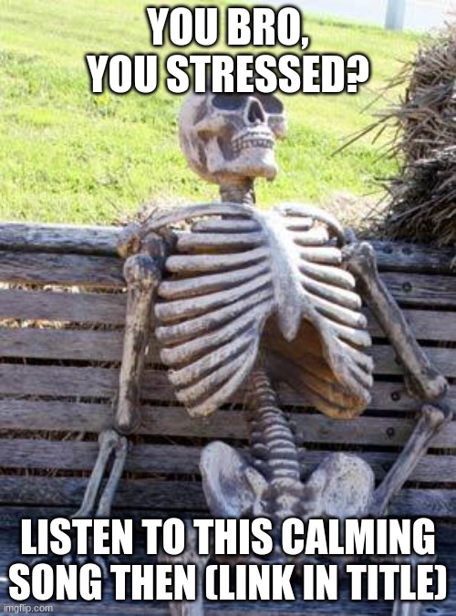 Link for spotify: https://open.spotify.com/track/7oZMxikk5ISnp4pDjwtvQ7 | YOU BRO, YOU STRESSED? LISTEN TO THIS CALMING SONG THEN (LINK IN TITLE) | image tagged in memes,waiting skeleton | made w/ Imgflip meme maker