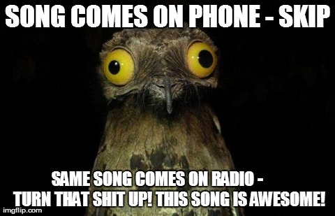 Weird Stuff I Do Potoo Meme | SONG COMES ON PHONE - SKIP SAME SONG COMES ON RADIO -


    TURN THAT SHIT UP! THIS SONG IS AWESOME! | image tagged in memes,weird stuff i do potoo,AdviceAnimals | made w/ Imgflip meme maker