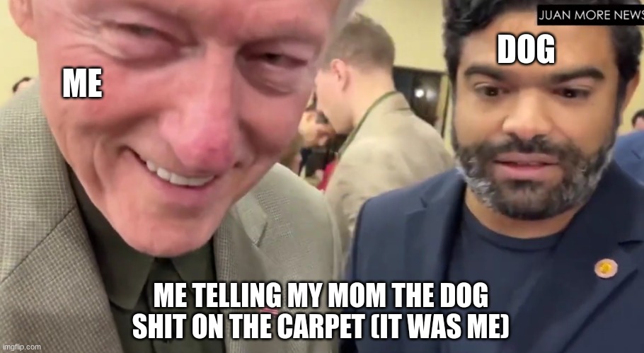 Based On A True Story | DOG; ME; ME TELLING MY MOM THE DOG SHIT ON THE CARPET (IT WAS ME) | image tagged in jeffrey epstein,bill clinton,shit,dogs,funny | made w/ Imgflip meme maker