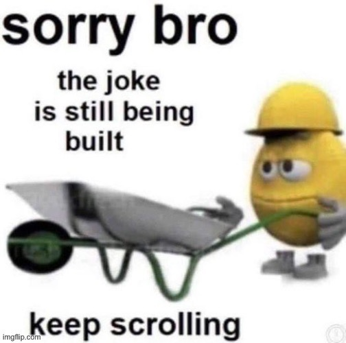 High Quality sorry bro the joke is still being built Blank Meme Template