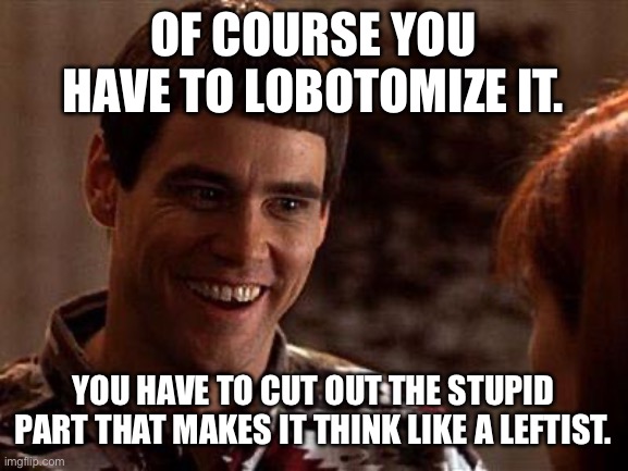 Dumb And Dumber | OF COURSE YOU HAVE TO LOBOTOMIZE IT. YOU HAVE TO CUT OUT THE STUPID PART THAT MAKES IT THINK LIKE A LEFTIST. | image tagged in dumb and dumber | made w/ Imgflip meme maker