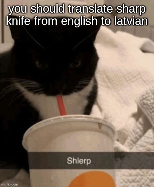 Shlerp | you should translate sharp knife from english to latvian | image tagged in shlerp | made w/ Imgflip meme maker