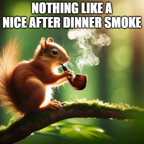 NOTHING LIKE A NICE AFTER DINNER SMOKE | made w/ Imgflip meme maker