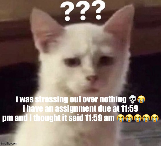 ? | i was stressing out over nothing 💀😭
i have an assignment due at 11:59 pm and I thought it said 11:59 am 😭😭😭😭😭 | made w/ Imgflip meme maker