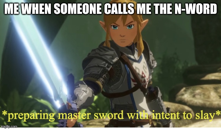 Preparing master sword with intent to slay | ME WHEN SOMEONE CALLS ME THE N-WORD | image tagged in preparing master sword with intent to slay | made w/ Imgflip meme maker