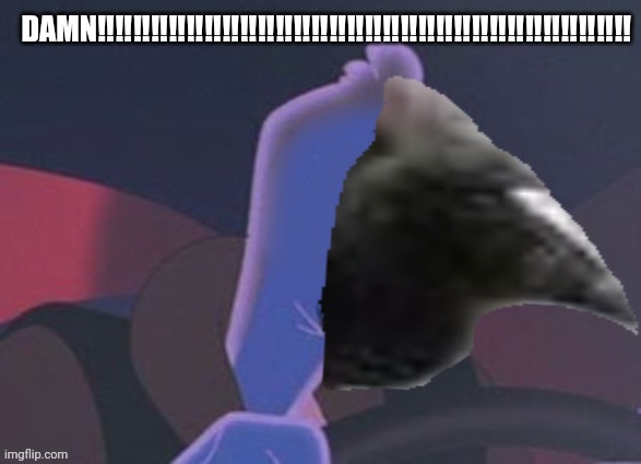 gingerjones | DAMN‼️‼️‼️‼️‼️‼️‼️‼️‼️‼️‼️‼️‼️‼️‼️‼️‼️‼️‼️‼️‼️‼️‼️‼️‼️‼️‼️‼️‼️‼️ | image tagged in gingerjones | made w/ Imgflip meme maker