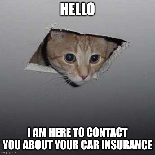 Ceiling Cat | HELLO; I AM HERE TO CONTACT YOU ABOUT YOUR CAR INSURANCE | image tagged in memes,ceiling cat | made w/ Imgflip meme maker