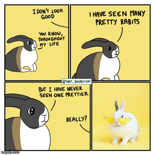Rabbits | image tagged in sunglasses,rabbits,rabbit,sunglasse,comics,comics/cartoons | made w/ Imgflip meme maker