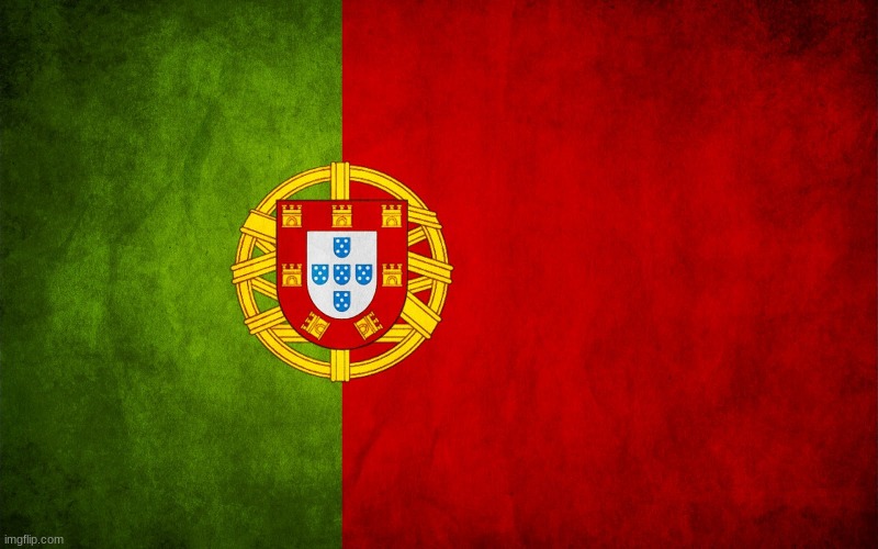 Portugal flag | image tagged in portugal flag | made w/ Imgflip meme maker
