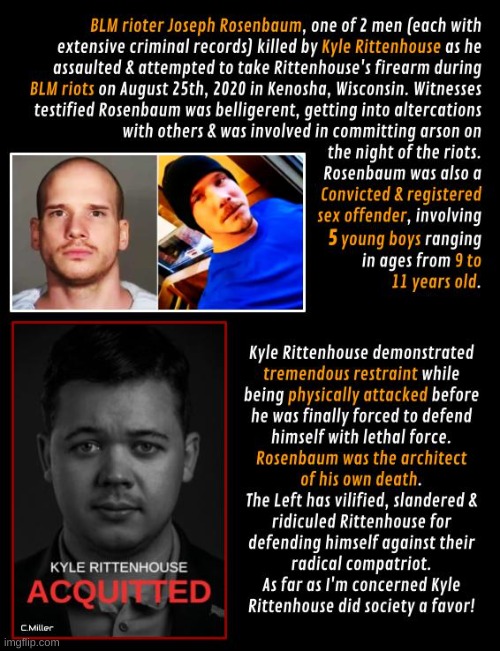 There's no such thing as a perfect person, but jeez, Democrats seem to attract the worst of the worst. Like flies to crap. | image tagged in kyle rittenhouse,2nd amendment,politics,democrats,blm | made w/ Imgflip meme maker