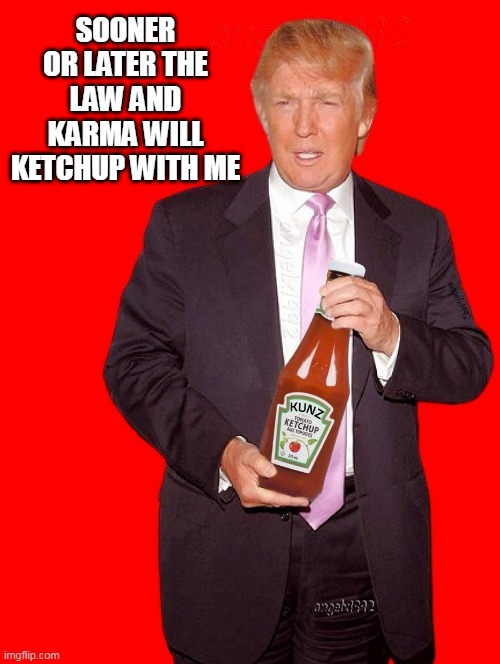 trump | SOONER OR LATER THE LAW AND KARMA WILL KETCHUP WITH ME | image tagged in trump,ketchup,maga morons,clown car republicans,karma,trump traitor | made w/ Imgflip meme maker