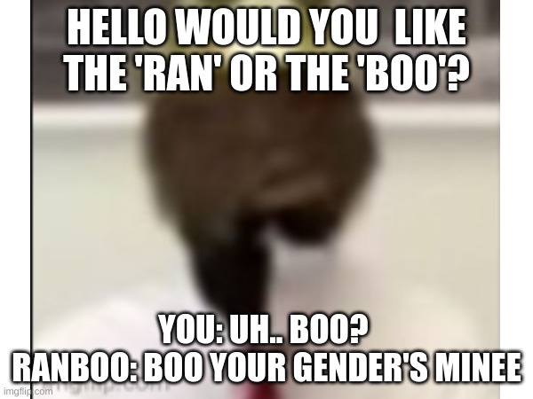 HELLO WOULD YOU  LIKE THE 'RAN' OR THE 'BOO'? YOU: UH.. BOO? 
RANBOO: BOO YOUR GENDER'S MINEE | made w/ Imgflip meme maker