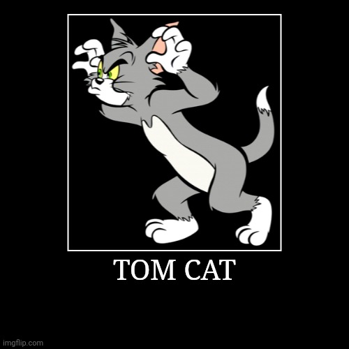 Tom Cat | TOM CAT | | image tagged in demotivationals,tom and jerry,tom cat | made w/ Imgflip demotivational maker