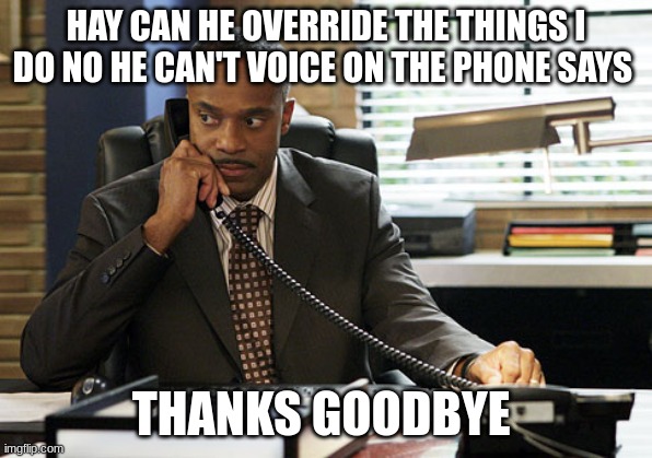 director vance on phone | HAY CAN HE OVERRIDE THE THINGS I DO NO HE CAN'T VOICE ON THE PHONE SAYS; THANKS GOODBYE | image tagged in director vance on phone | made w/ Imgflip meme maker