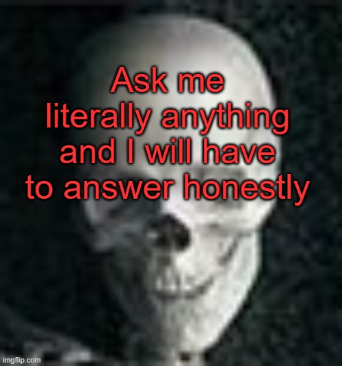 . | Ask me literally anything and I will have to answer honestly | image tagged in skull | made w/ Imgflip meme maker