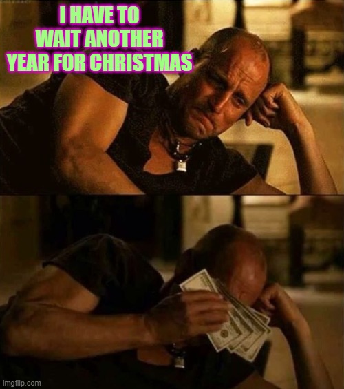 Zombieland money tears | I HAVE TO WAIT ANOTHER YEAR FOR CHRISTMAS | image tagged in zombieland money tears | made w/ Imgflip meme maker