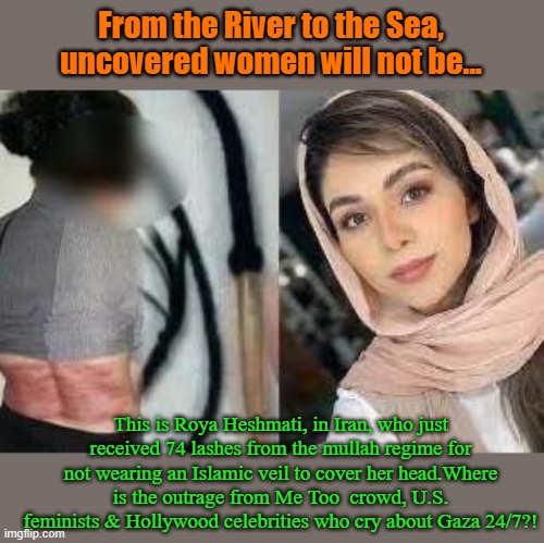 Woke, Marxist and supporting Islam- only because they hate Judaism and Christianity as much as you do.. | From the River to the Sea, uncovered women will not be... This is Roya Heshmati, in Iran, who just received 74 lashes from the mullah regime for not wearing an Islamic veil to cover her head.Where is the outrage from Me Too  crowd, U.S. feminists & Hollywood celebrities who cry about Gaza 24/7?! | image tagged in iran,gaza,islamophobia,islam | made w/ Imgflip meme maker