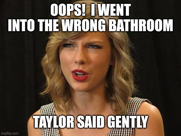Taylor said gently | OOPS!  I WENT INTO THE WRONG BATHROOM; TAYLOR SAID GENTLY | image tagged in taylor swiftie | made w/ Imgflip meme maker