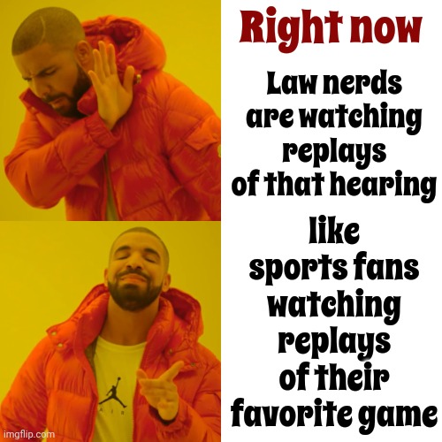 Thank The Heavens For All The Law Nerds! | Right now; Law nerds are watching replays of that hearing; like sports fans watching replays of their favorite game | image tagged in memes,drake hotline bling,law,the constitution,law school,lawyers | made w/ Imgflip meme maker