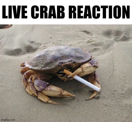 Live crab reaction | image tagged in live crab reaction | made w/ Imgflip meme maker