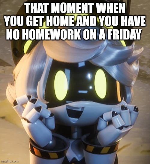 Happy N | THAT MOMENT WHEN YOU GET HOME AND YOU HAVE NO HOMEWORK ON A FRIDAY | image tagged in happy n | made w/ Imgflip meme maker
