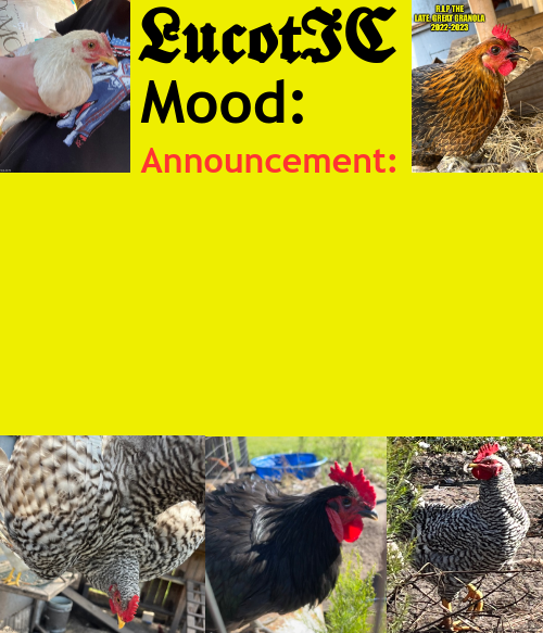 High Quality LucotIC's Cocks announcement template Blank Meme Template