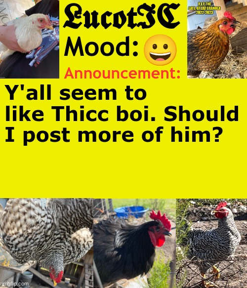 . | 😀; Y'all seem to like Thicc boi. Should I post more of him? | image tagged in lucotic's chicken announcement template | made w/ Imgflip meme maker