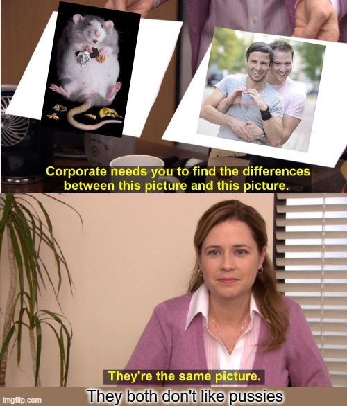 Gay Mice | They both don't like pussies | image tagged in memes,they're the same picture | made w/ Imgflip meme maker