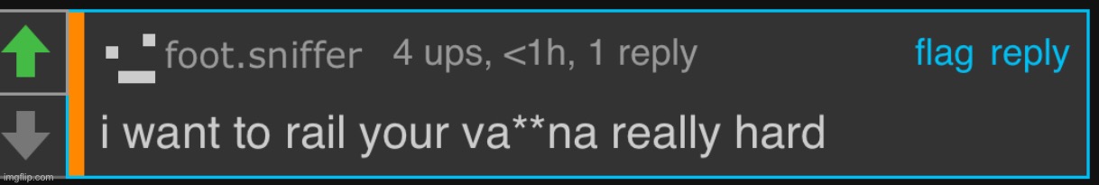 i want to rail your vagina really hard | image tagged in i want to rail your vagina really hard | made w/ Imgflip meme maker