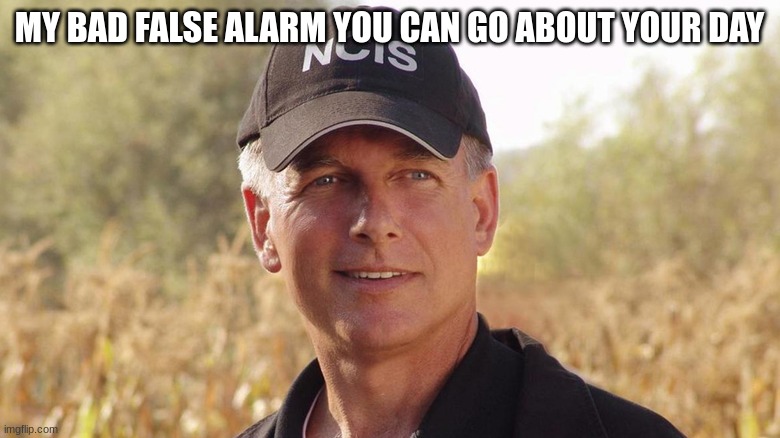 gibbs NCIS | MY BAD FALSE ALARM YOU CAN GO ABOUT YOUR DAY | image tagged in gibbs ncis | made w/ Imgflip meme maker