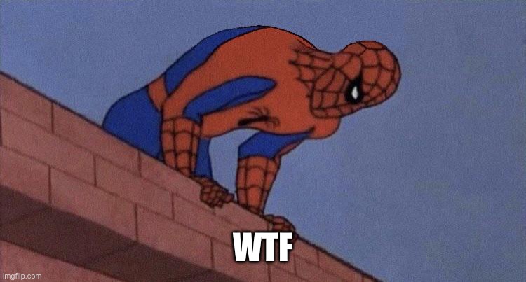 do you see this shit blank | WTF | image tagged in do you see this shit blank | made w/ Imgflip meme maker