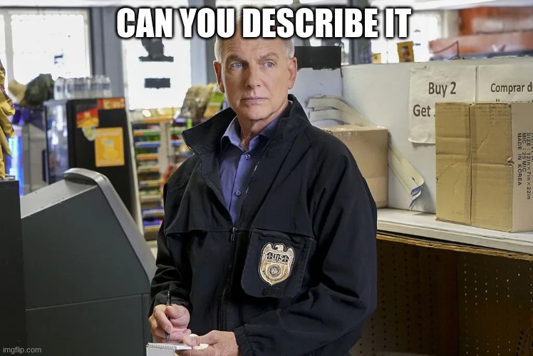 ncis gibbs taking notes | CAN YOU DESCRIBE IT | image tagged in ncis gibbs taking notes | made w/ Imgflip meme maker