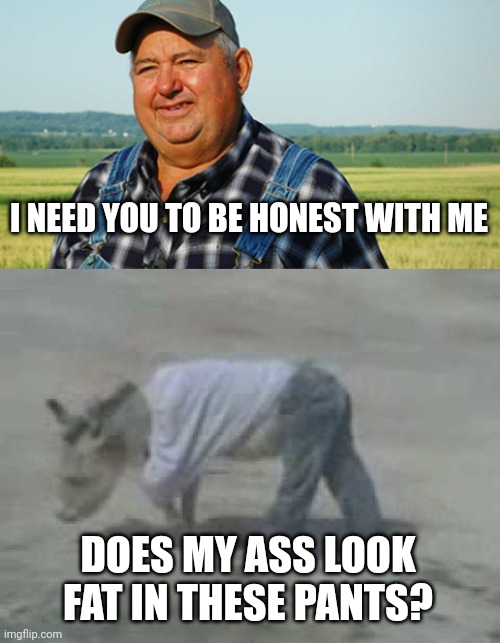 I NEED YOU TO BE HONEST WITH ME; DOES MY ASS LOOK FAT IN THESE PANTS? | image tagged in farmer honest work,donkey in pants | made w/ Imgflip meme maker