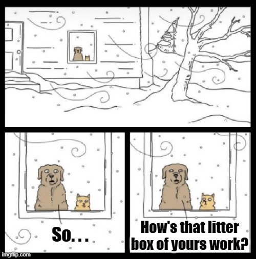 Oh the weather outside is frightful... | How's that litter box of yours work? So. . . | image tagged in cats,dogs,winter,winter is here,cats and dogs,cats and dogs living together | made w/ Imgflip meme maker