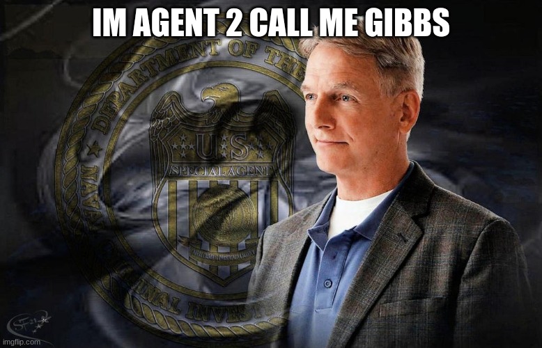 gibbs ncis | IM AGENT 2 CALL ME GIBBS | image tagged in gibbs ncis | made w/ Imgflip meme maker